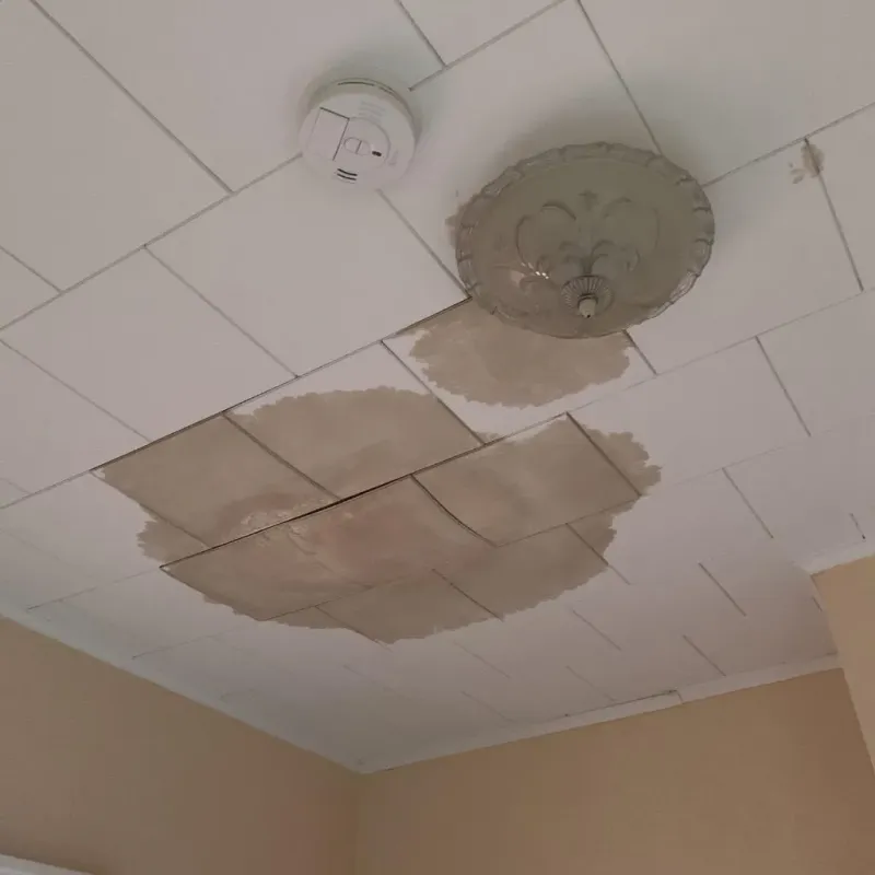 Ceiling Water Damage Repair in Aberdeen, FL